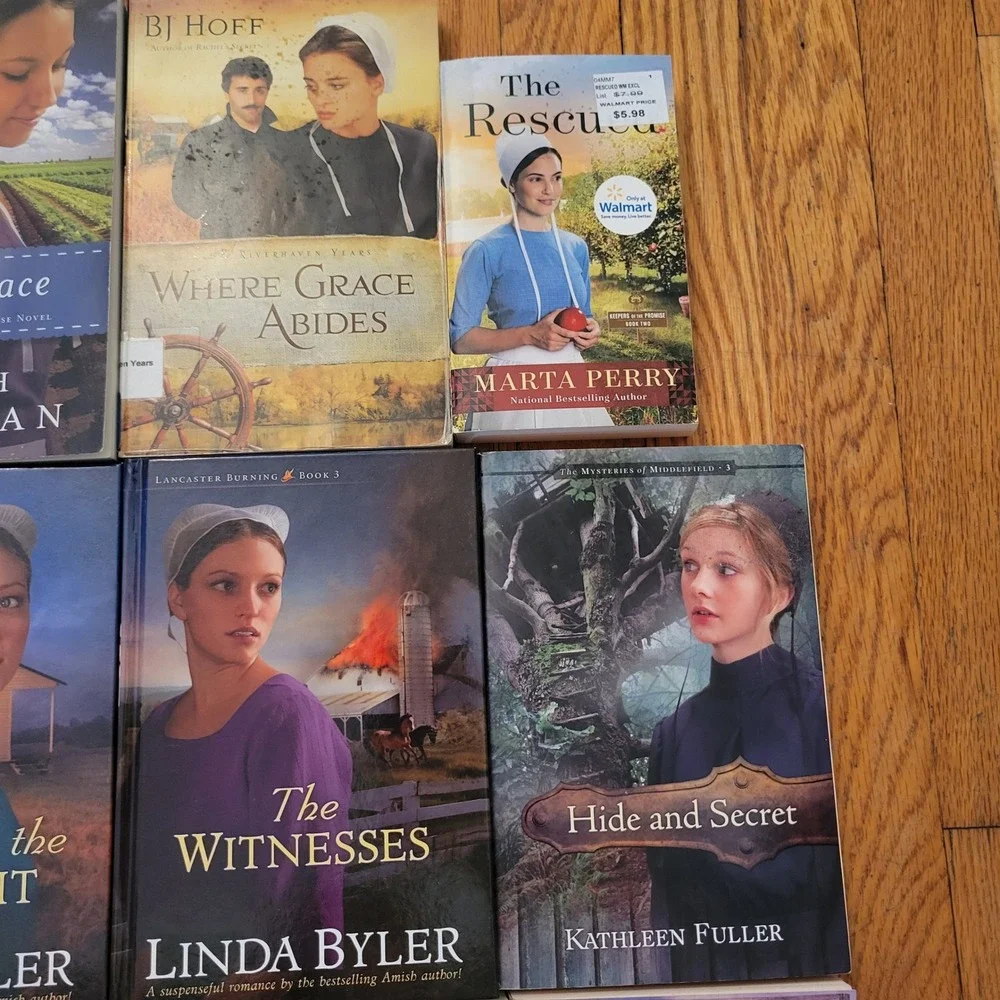 Wanda Brunstetter Linda Byler Fisher‎ 16 Amish Fiction Book Lot Gift Christian